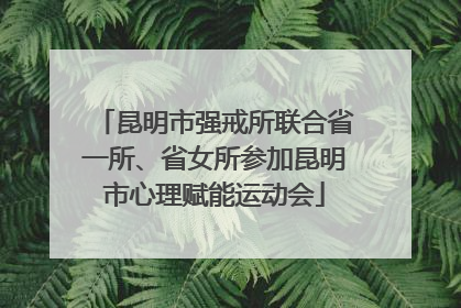 昆明市强戒所联合省一所、省女所参加昆明市心理赋能运动会