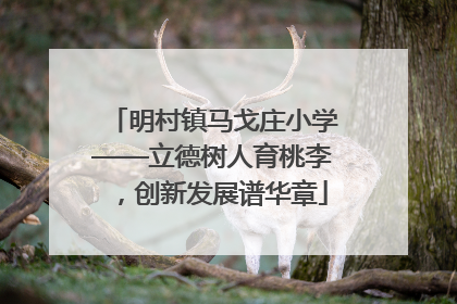 明村镇马戈庄小学——立德树人育桃李，创新发展谱华章