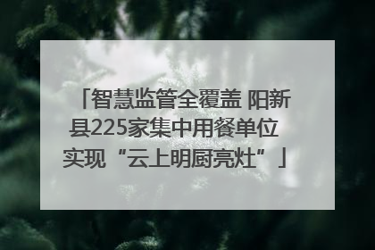 智慧监管全覆盖 阳新县225家集中用餐单位实现“云上明厨亮灶”