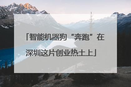 智能机器狗“奔跑”在深圳这片创业热土上