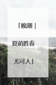 晚潮｜夏荫胜春尤可人