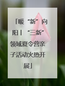 暖“新”向阳丨“三新”领域夏令营亲子活动火热开展