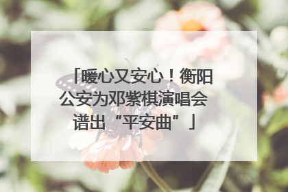 暖心又安心！衡阳公安为邓紫棋演唱会谱出“平安曲”