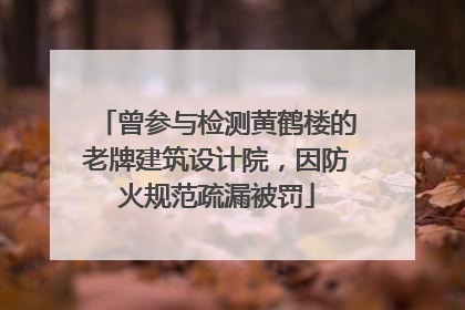 曾参与检测黄鹤楼的老牌建筑设计院，因防火规范疏漏被罚