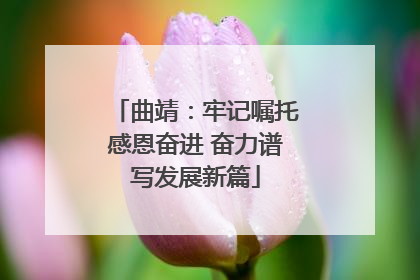 曲靖：牢记嘱托感恩奋进 奋力谱写发展新篇