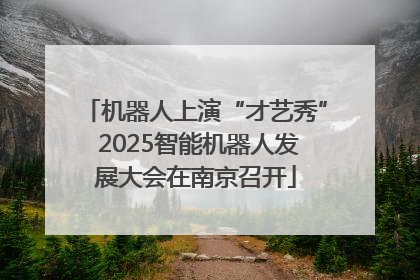 机器人上演“才艺秀” 2025智能机器人发展大会在南京召开