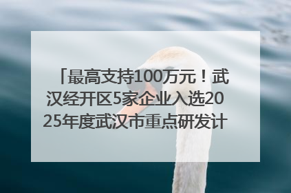 最高支持100万元！武汉经开区5家企业入选2025年度武汉市重点研发计划拟立项项目名单
