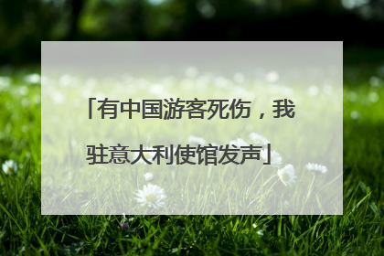 有中国游客死伤，我驻意大利使馆发声