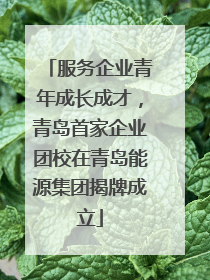 服务企业青年成长成才，青岛首家企业团校在青岛能源集团揭牌成立