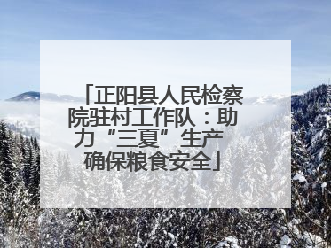 正阳县人民检察院驻村工作队：助力“三夏”生产 确保粮食安全