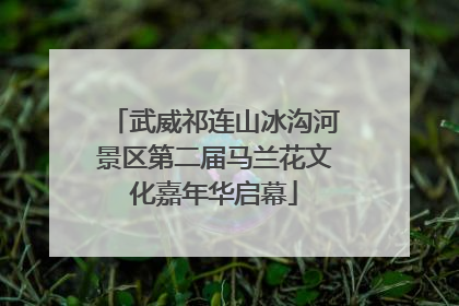 武威祁连山冰沟河景区第二届马兰花文化嘉年华启幕