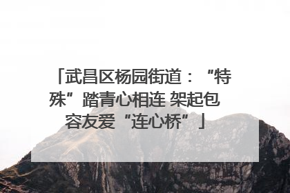 武昌区杨园街道：“特殊”踏青心相连 架起包容友爱“连心桥”