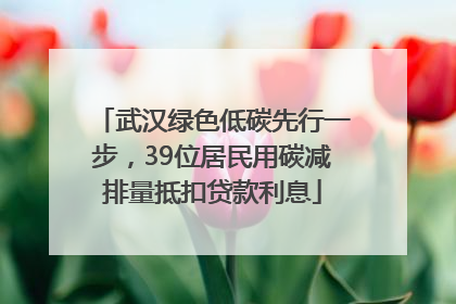武汉绿色低碳先行一步，39位居民用碳减排量抵扣贷款利息