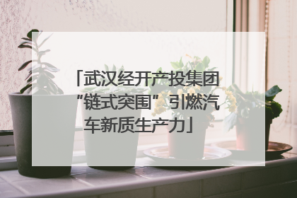武汉经开产投集团“链式突围”引燃汽车新质生产力