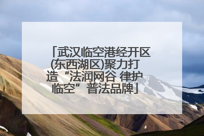 武汉临空港经开区(东西湖区)聚力打造“法润网谷 律护临空”普法品牌