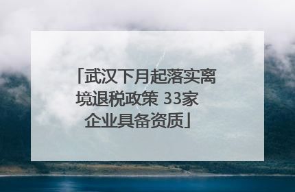 武汉下月起落实离境退税政策 33家企业具备资质