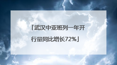 武汉中亚班列一年开行量同比增长72%