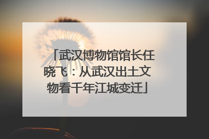 武汉博物馆馆长任晓飞：从武汉出土文物看千年江城变迁