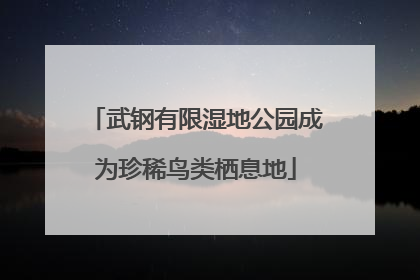 武钢有限湿地公园成为珍稀鸟类栖息地