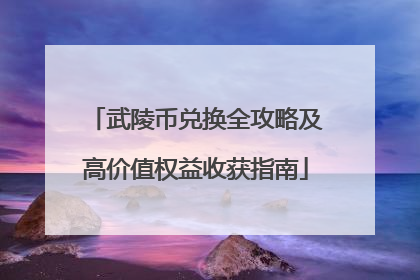 武陵币兑换全攻略及高价值权益收获指南