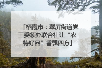 栖霞市：翠屏街道党工委领办联合社让“农特好品”香飘四方