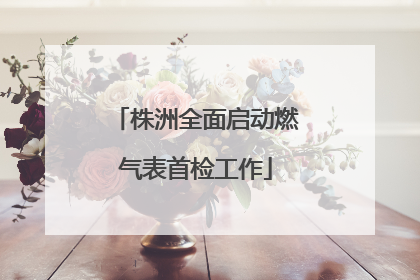 株洲全面启动燃气表首检工作
