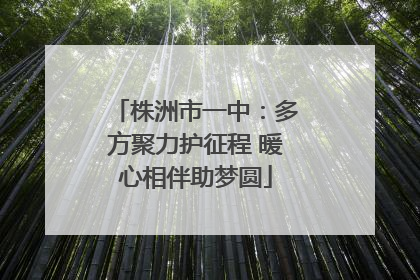 株洲市一中：多方聚力护征程 暖心相伴助梦圆