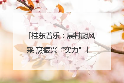 桂东普乐：展村厨风采 烹振兴“实力”
