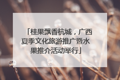 桂果飘香杭城，广西夏季文化旅游推广暨水果推介活动举行