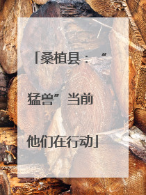桑植县：“猛兽”当前 他们在行动