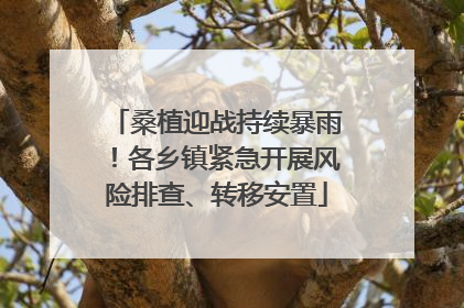 桑植迎战持续暴雨！各乡镇紧急开展风险排查、转移安置