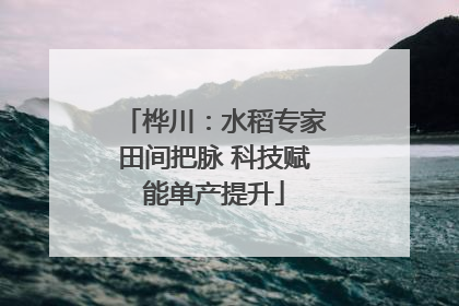 桦川：水稻专家田间把脉 科技赋能单产提升