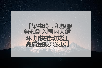 梁惠玲：积极服务和融入国内大循环 加快推动龙江高质量振兴发展