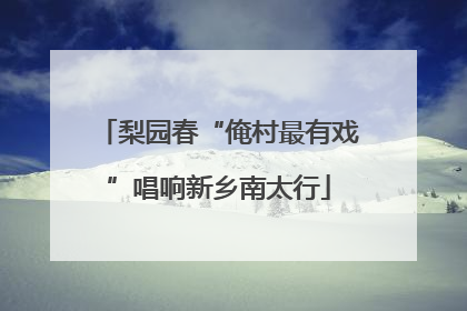 梨园春“俺村最有戏”唱响新乡南太行