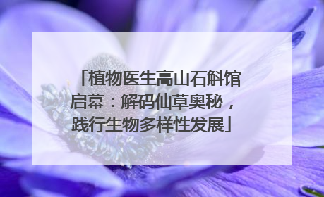 植物医生高山石斛馆启幕：解码仙草奥秘，践行生物多样性发展