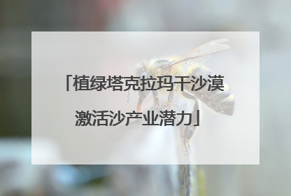 植绿塔克拉玛干沙漠 激活沙产业潜力