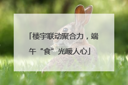楼宇联动聚合力，端午“食”光暖人心