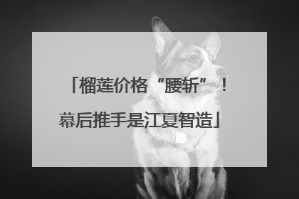 榴莲价格“腰斩”！幕后推手是江夏智造