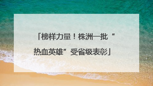 榜样力量！株洲一批“热血英雄”受省级表彰
