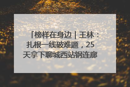 榜样在身边｜王林：扎根一线破难题，25天拿下聊城西站钢连廊“硬核”工程