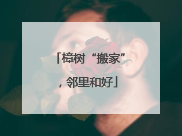 樟树“搬家”，邻里和好