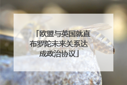 欧盟与英国就直布罗陀未来关系达成政治协议