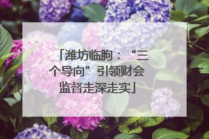 潍坊临朐：“三个导向”引领财会监督走深走实