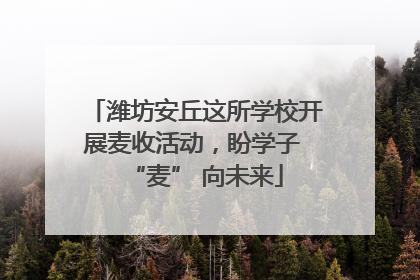 潍坊安丘这所学校开展麦收活动，盼学子 “麦” 向未来