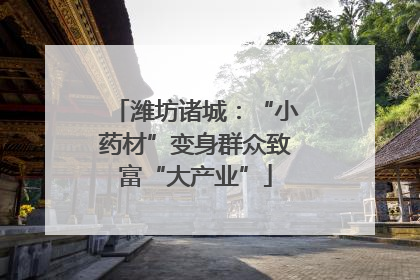 潍坊诸城：“小药材”变身群众致富“大产业”