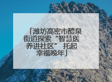 潍坊高密市醴泉街道探索“智慧医养进社区” 托起幸福晚年
