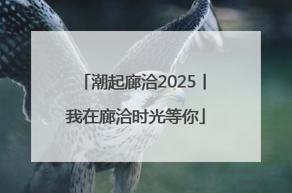 潮起廊洽2025丨我在廊洽时光等你