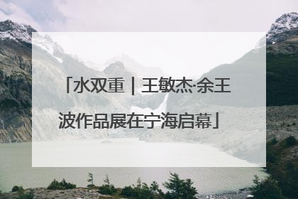 水双重｜王敏杰·余王波作品展在宁海启幕