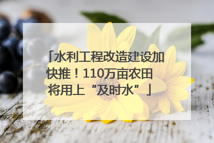 水利工程改造建设加快推！110万亩农田将用上“及时水”