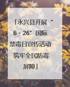 永兴县开展“6・26”国际禁毒日宣传活动 筑牢全民防毒屏障